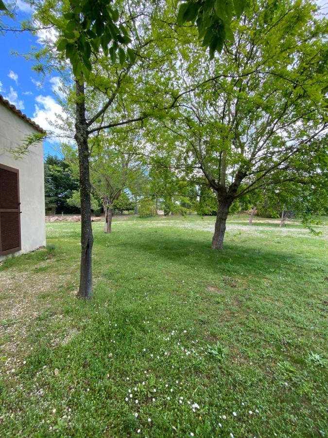 Villa Raffinee, Parc Cloture, 4000M2, Piscine 5X10 Blauzac  Exteriér fotografie
